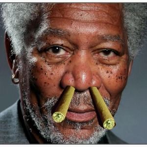 Meet your Posher, Morgan